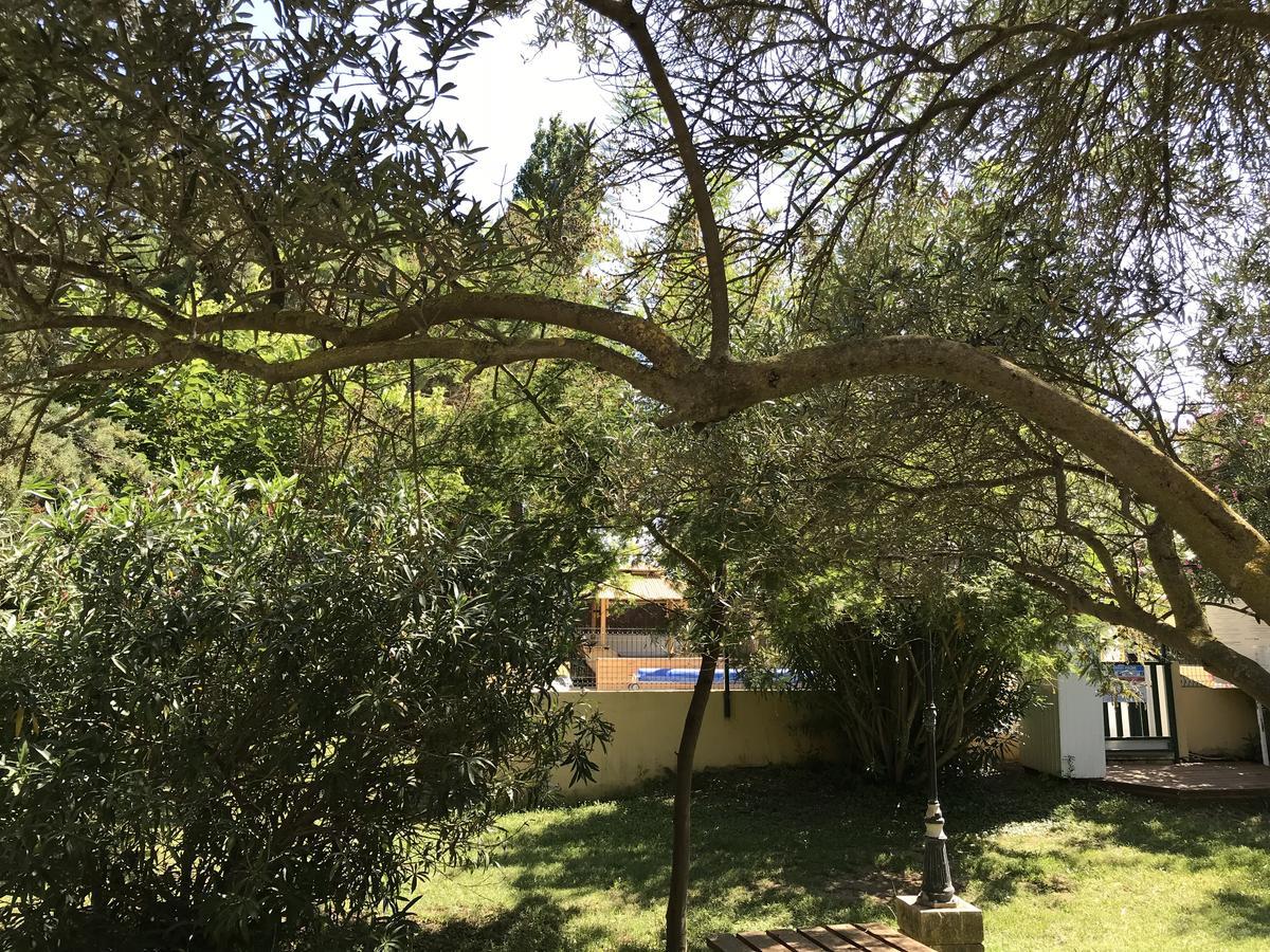 Residence Les Caraibes Serignan Bagian luar foto