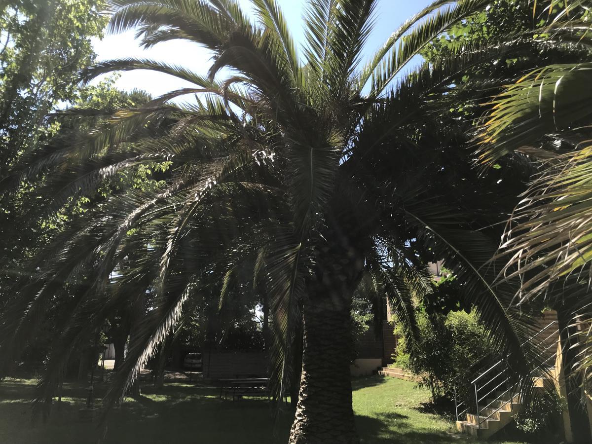 Residence Les Caraibes Serignan Bagian luar foto